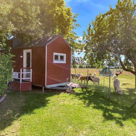 Villa Tiny House Auf Der Alpaka Farm Rubkow Exterior foto
