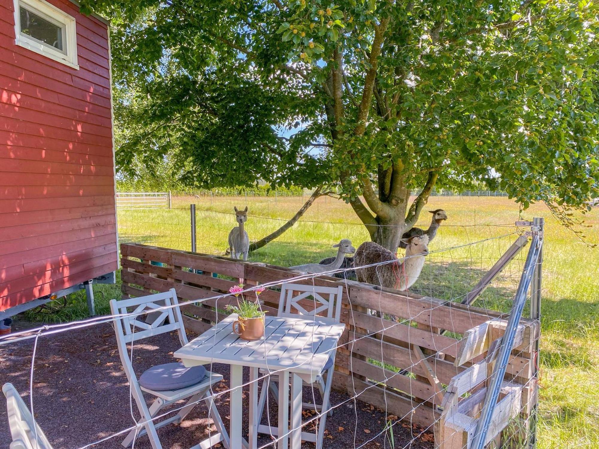 Villa Tiny House Auf Der Alpaka Farm Rubkow Exterior foto